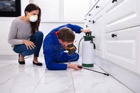 Real Estate Pest Inspections in Hooper, UT